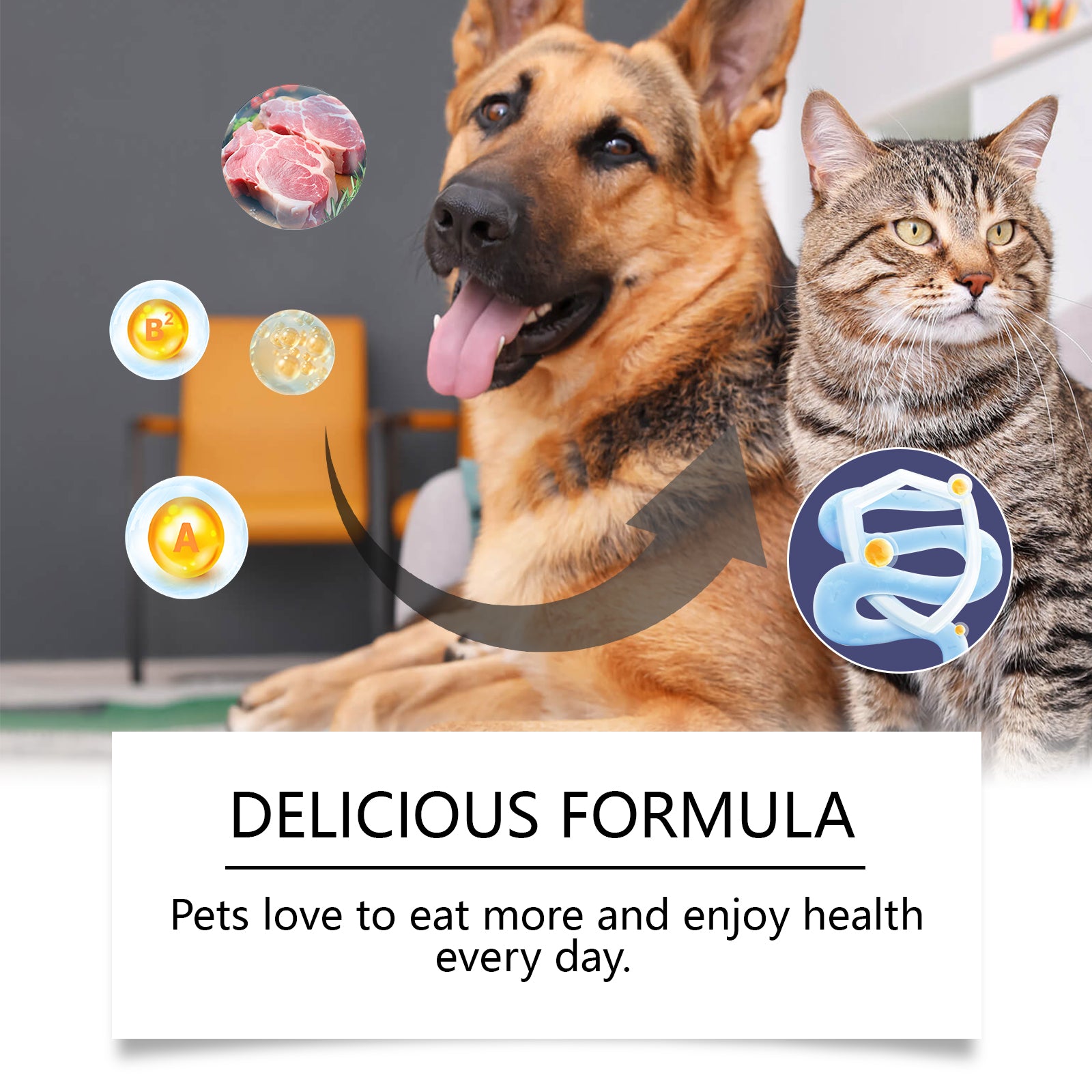 Cats And Dogs General Compound Probiotic Tablets, Pets Absorb Nutrition Supplement Tablets Dog And Cat Nutrition